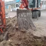Выкорчевывание деревьев