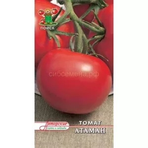 Продам семена томатов для теплицы