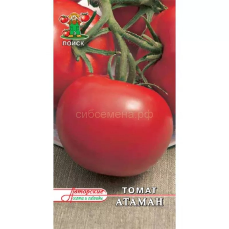 Продам семена томатов для теплицы