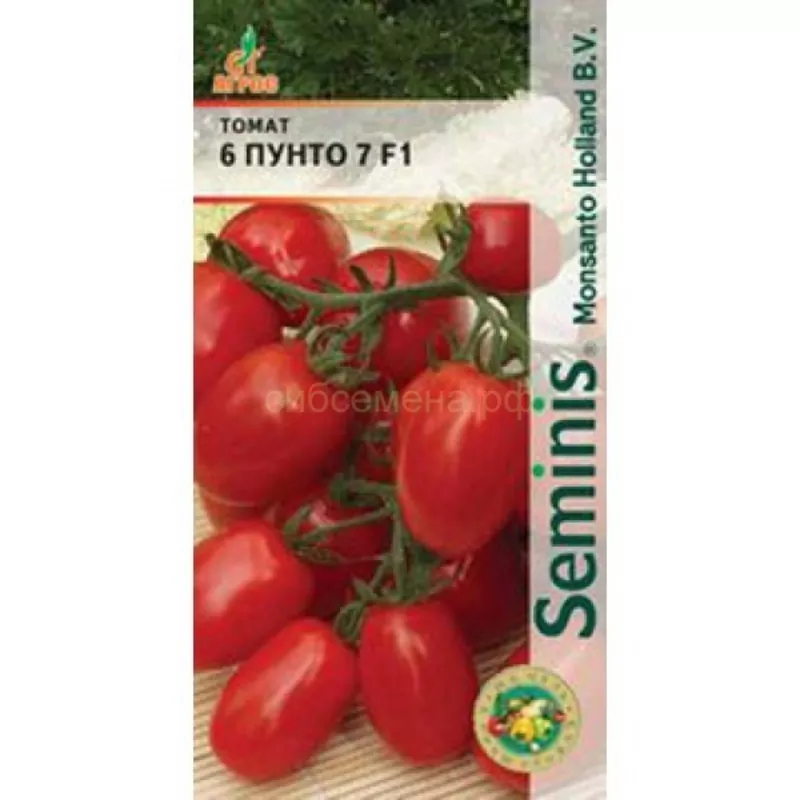 Продам семена томатов для теплицы 2