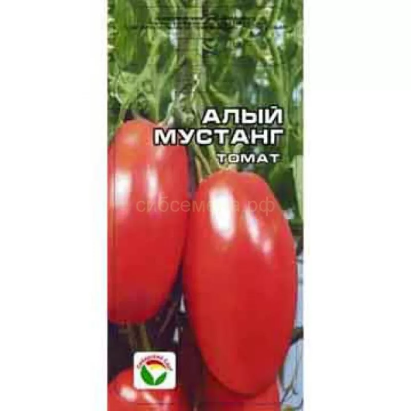 Продам семена томатов для теплицы 3